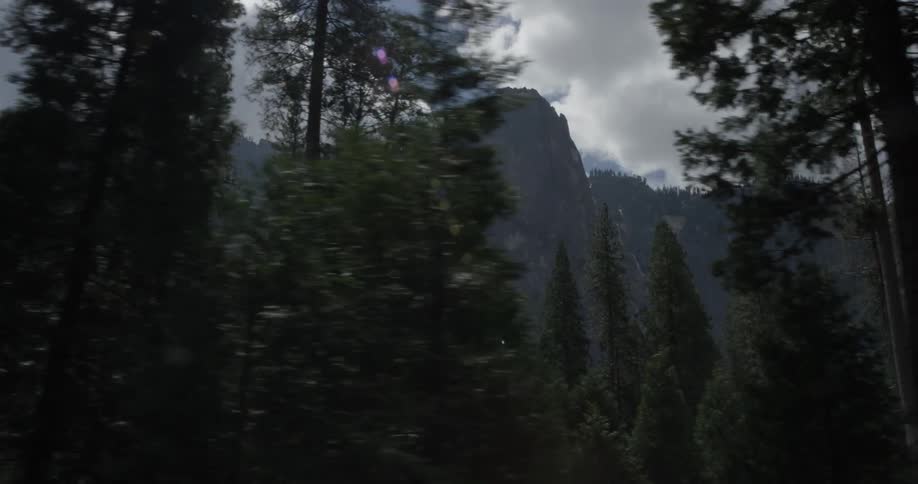 Driving by a large amount of tall trees with a mountain covered in trees in the background with blue skies and white clouds