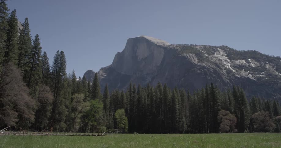 Green trees and a grassy field below a large rocky mountain with blue skies