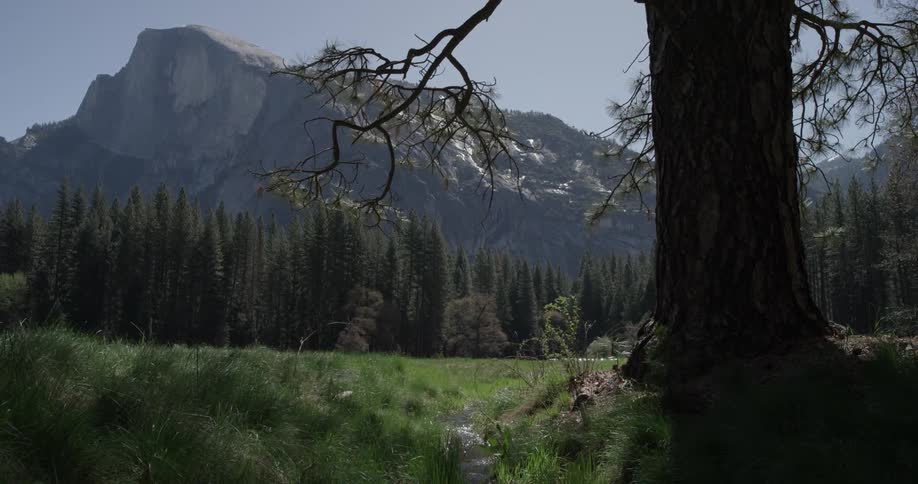 Small creek running through a field surrounded by mountains and pine trees