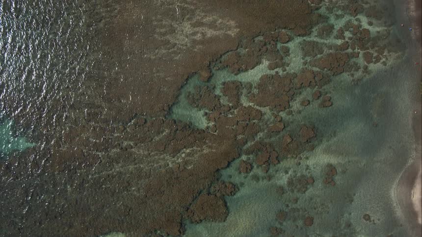 There are rocks in the ocean