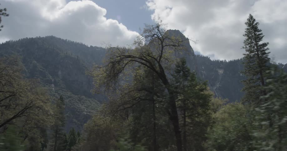 Mountain forest on cloudy day