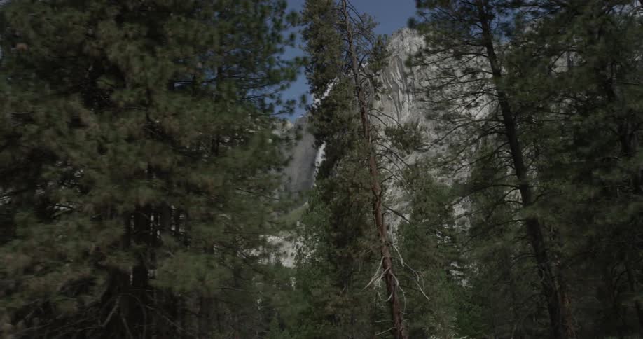 Movement of the camera pans or drives by large tall trees with mountains off in the distance with water coming off of them like a waterfall