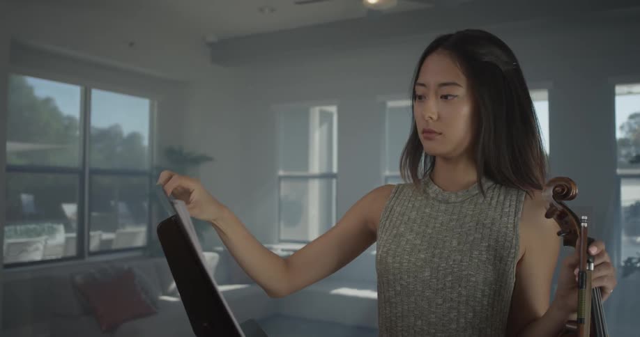 Woman playing a violin in a living room