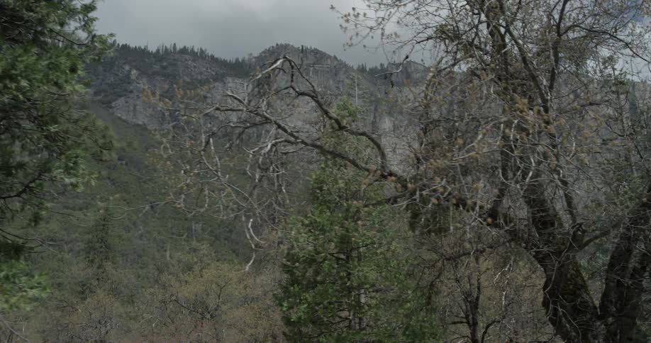 Yosemite Scenics