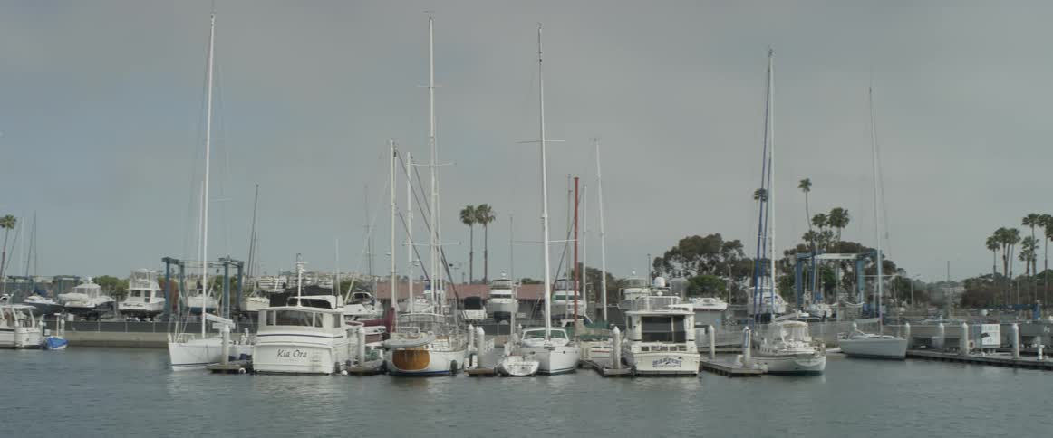 Marina Scenics