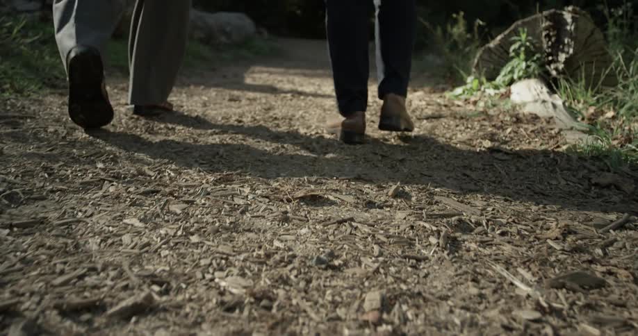 A couple of people walk through a train in the park in slow motion on a brightly lit day