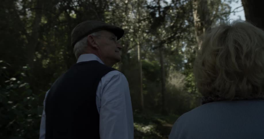 An older couple walk hand in hand through a thick forest