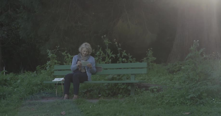 An old woman sits on  a green bench in  a clearing under the setting sun