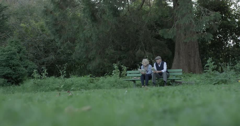 Man and a woman sitting at a park bench reading
