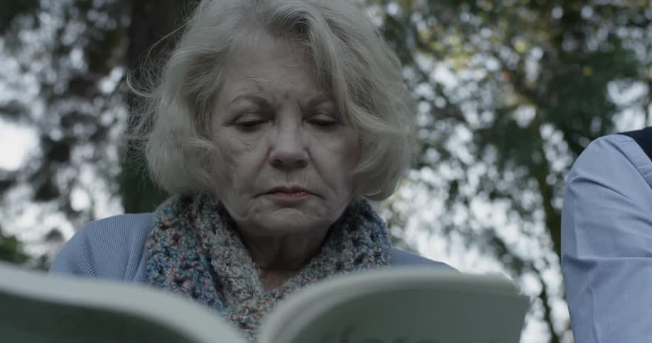 A woman reads a book sitting on a park bench on a dimly lit day with trees in the background