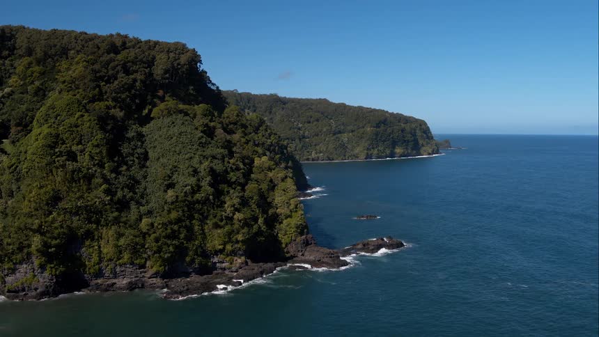 Aerial shot of a forested cliffside beside the ocean