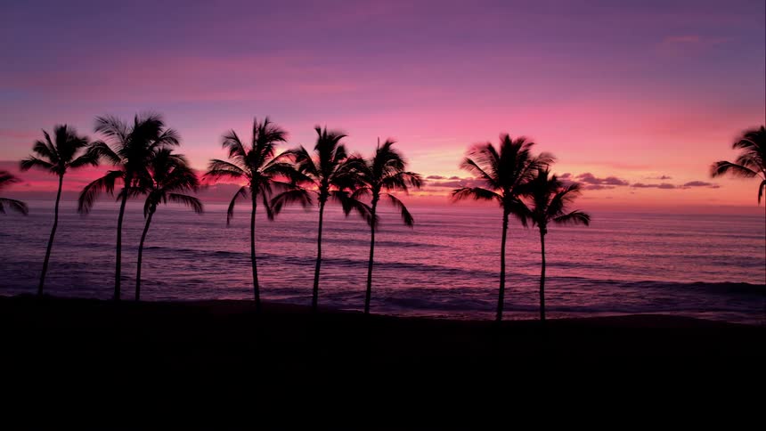 A brilliant purple sunset lights up palm trees on the coast