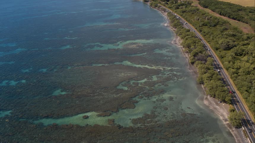 Shore of beach with view of trees and road