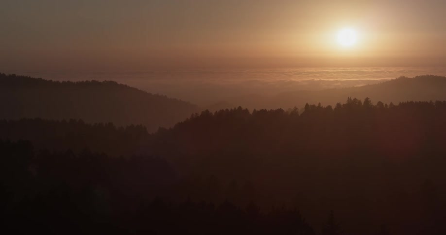 High above a dense forest during sunset