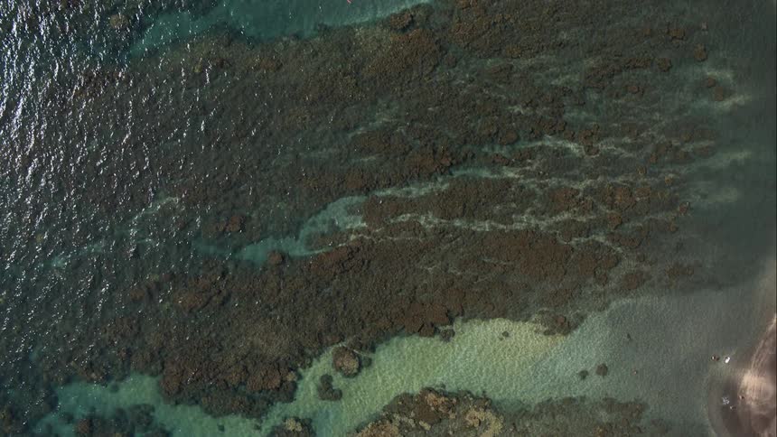 Coral reefs that are under the ocean near the coast