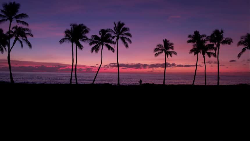 Person sets up camp along the beach at dusk