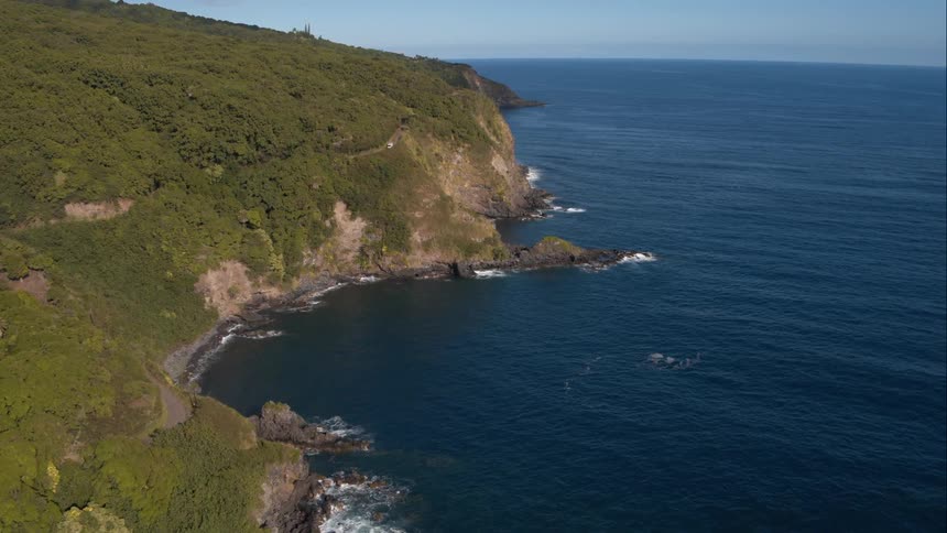 Aerial shot of a forested cliffside beside the ocean