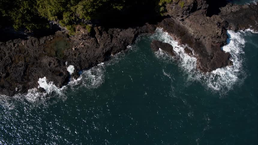 Waves breaking on volcanic rock and trees