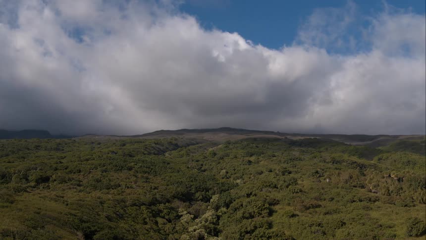 Blue skies and white clouds cover a green forest of trees