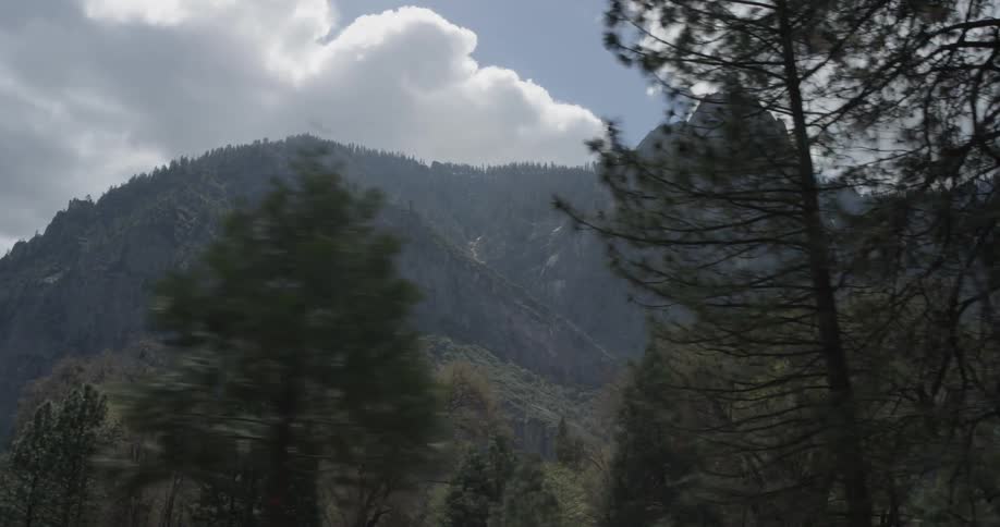 Forest with mountains in background and partly cloudy skies