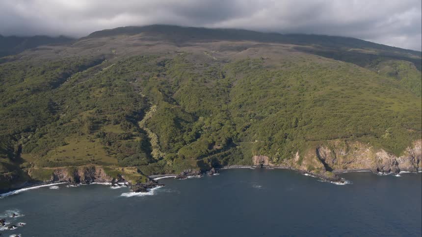 A mountain covered in forest stands behind an ocean