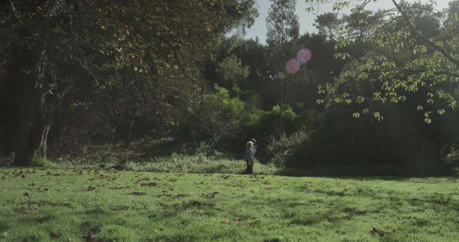 A elderly couple walk through the park with beautiful trees and grassy fields