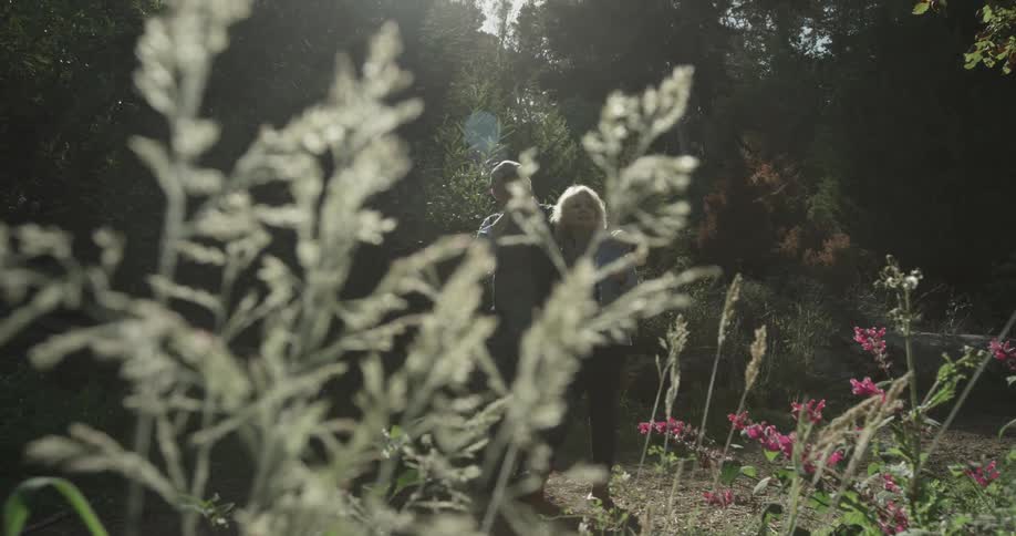 Plants can be seen close up as focus shifts to a elderly couple walking on a nature path in the woods at a park with bright sunlight shining