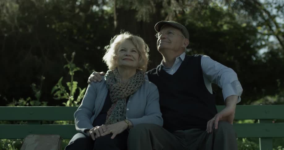 Elderly couple sit on a park bench on a sunny day and the light shines in her hair he puts his arm around her and the look up at the sky