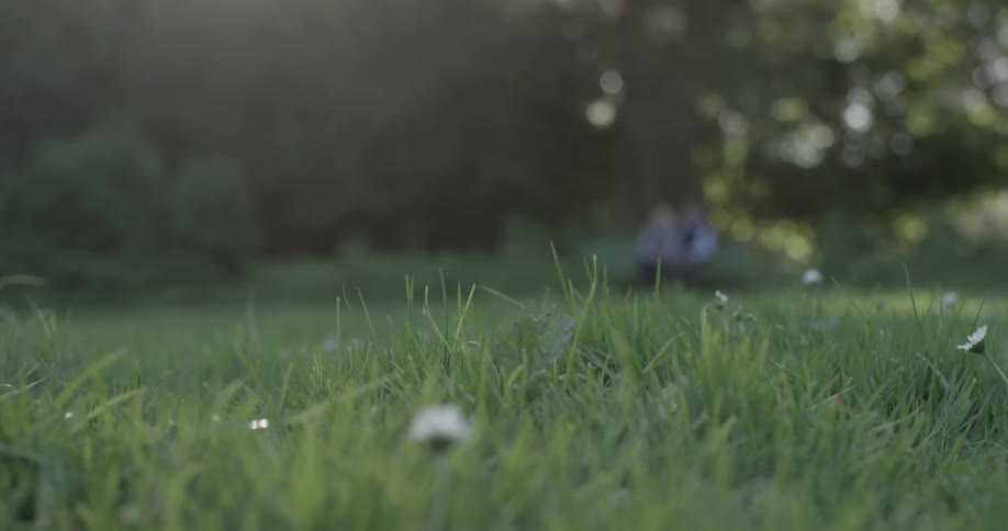 An older man and woman sit on a bench in the distance