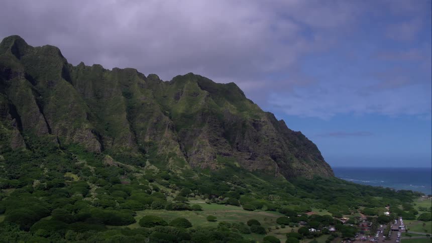 A mountain rises up behind a small forest next to the ocean
