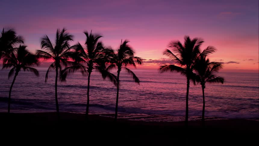 Surf comes onto palm tree dotted beach at sunset