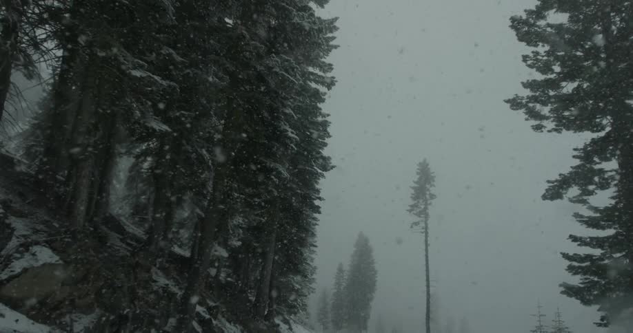 Yosemite Scenics