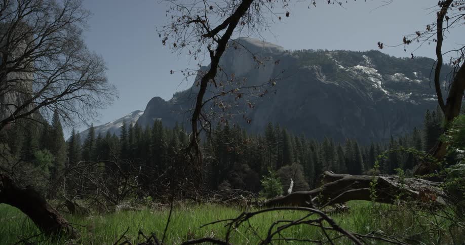 Timelapse of a mountain beyond a forest