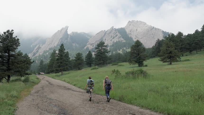 Hikers walking in the wilderness