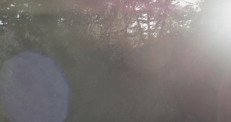An elderly women sits on a bench as the camera pans upwards to the sun and lens flares happen