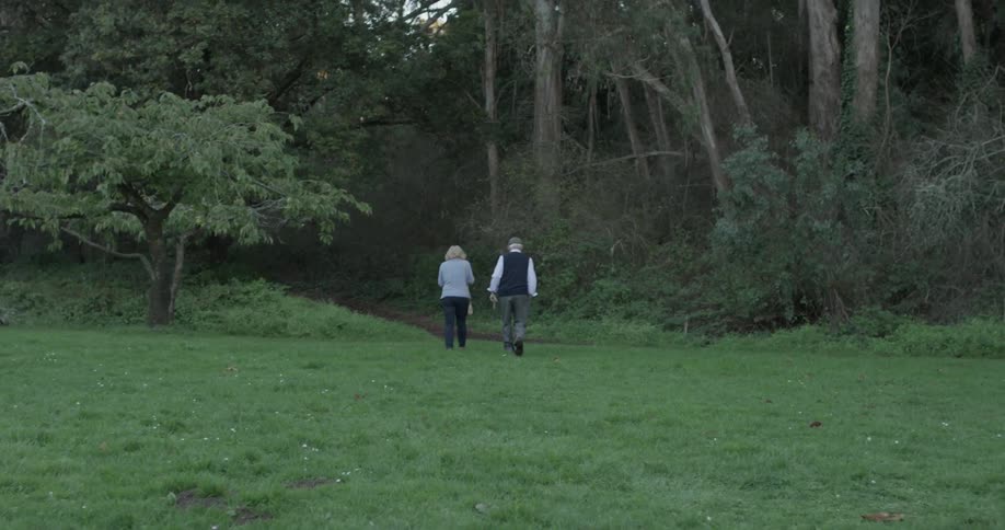An elderly couple walk through a grassy field onto a trail in the shadows on a sunny day