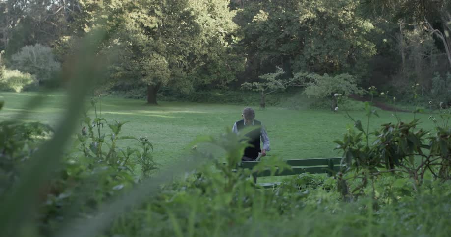 An elderly man walks through a green grassy field in the park to sit on a bench in the shade on a sunny day