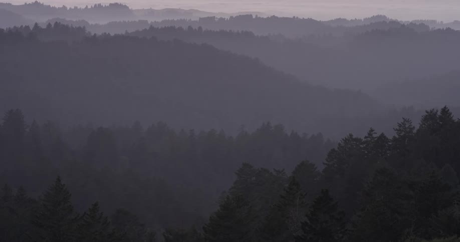 Mist covers a vast forest that blankets rolling hills