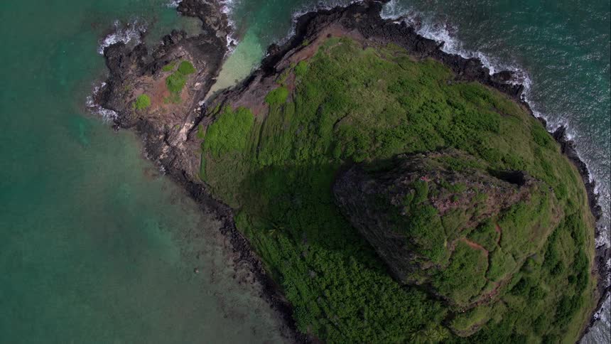 Aerial view of green island and water