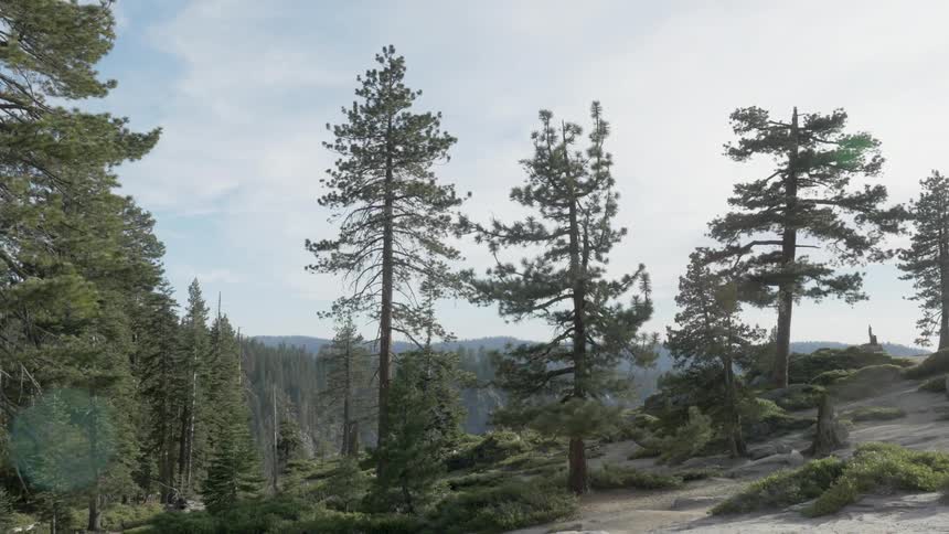 Ascending a mountain slope, looking out at evergreens and distant peaks