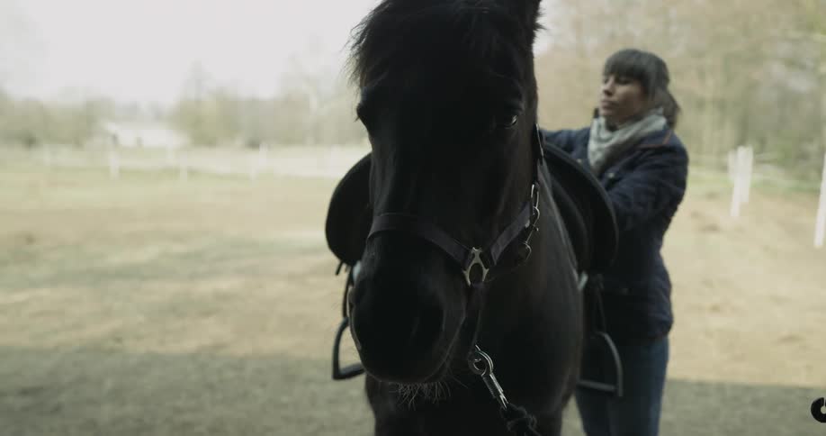 A woman standing beside the back of a horse