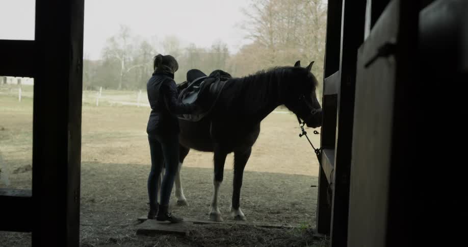 Horse Stables