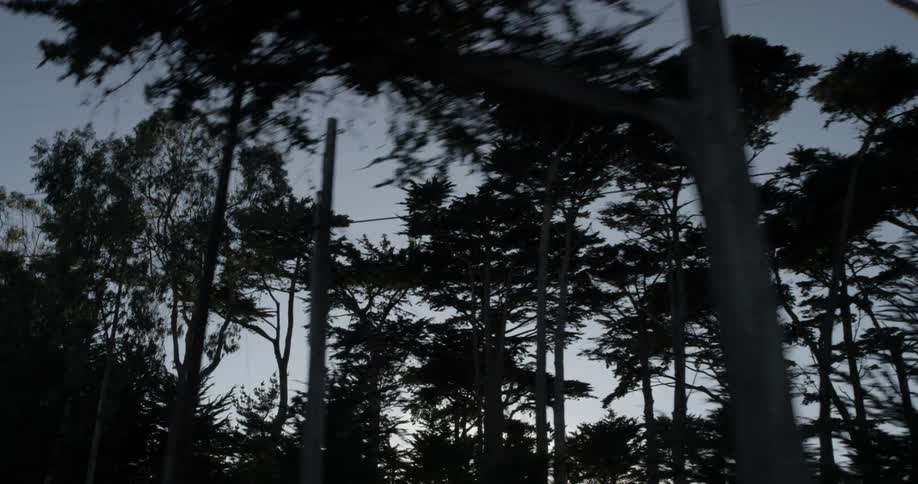 Trees can be seen as the camera moves by quickly revealing power lines and a blue sky of a sun setting behind them