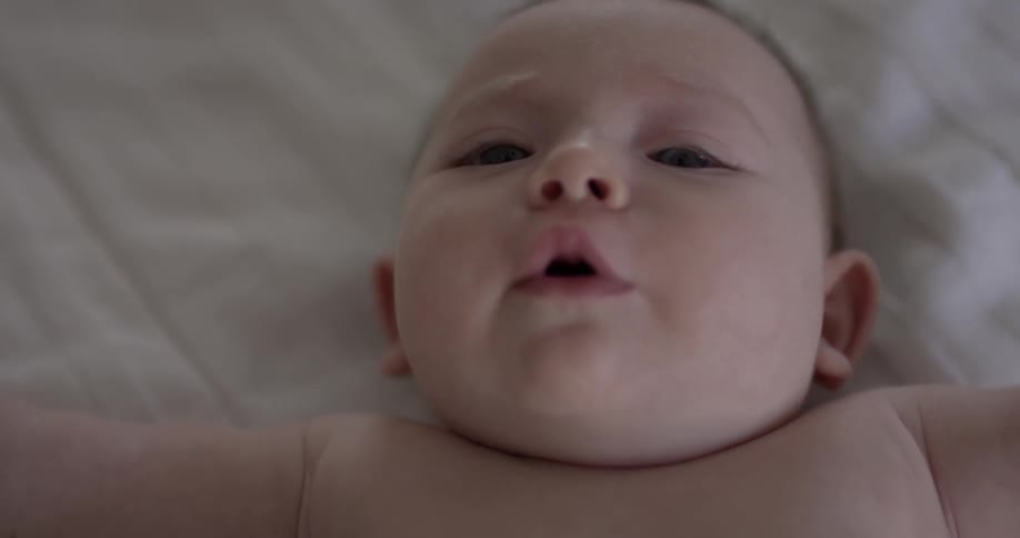 Newborn Baby