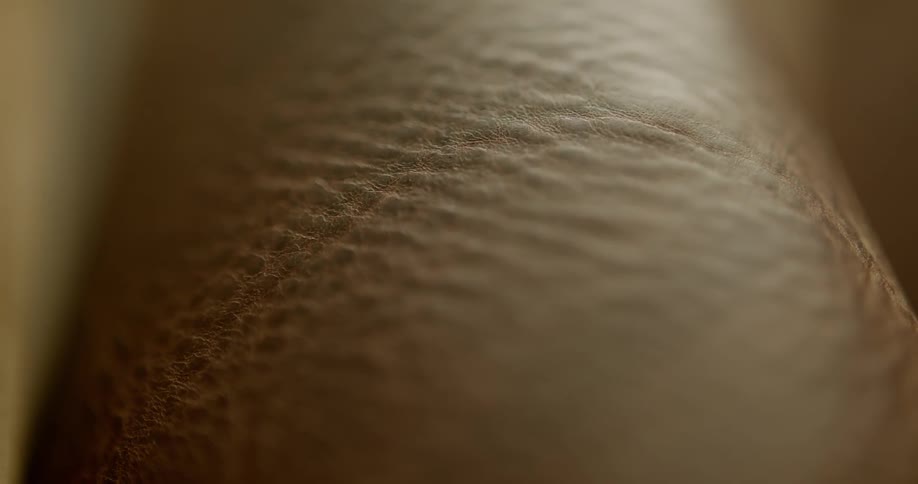 A piece of leather that is on a couch