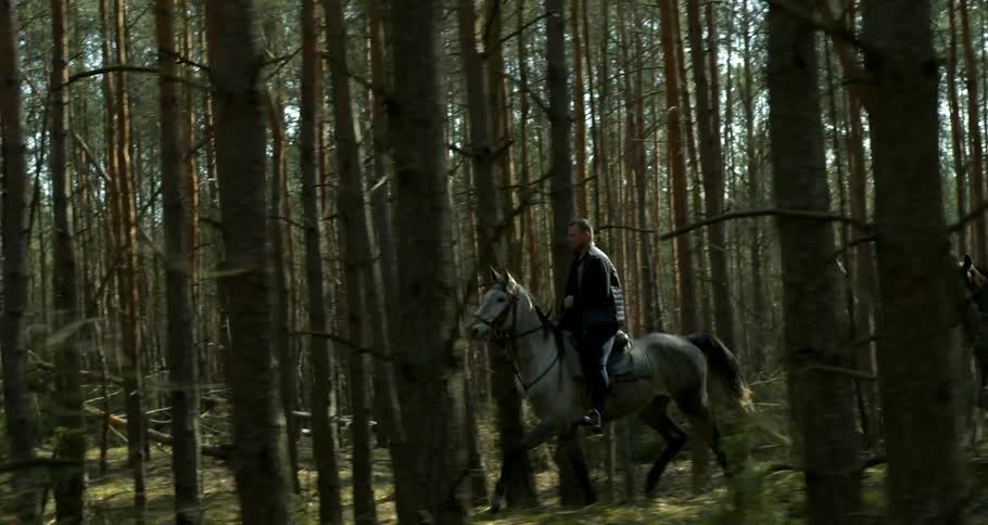 Two people ride horses through a forest