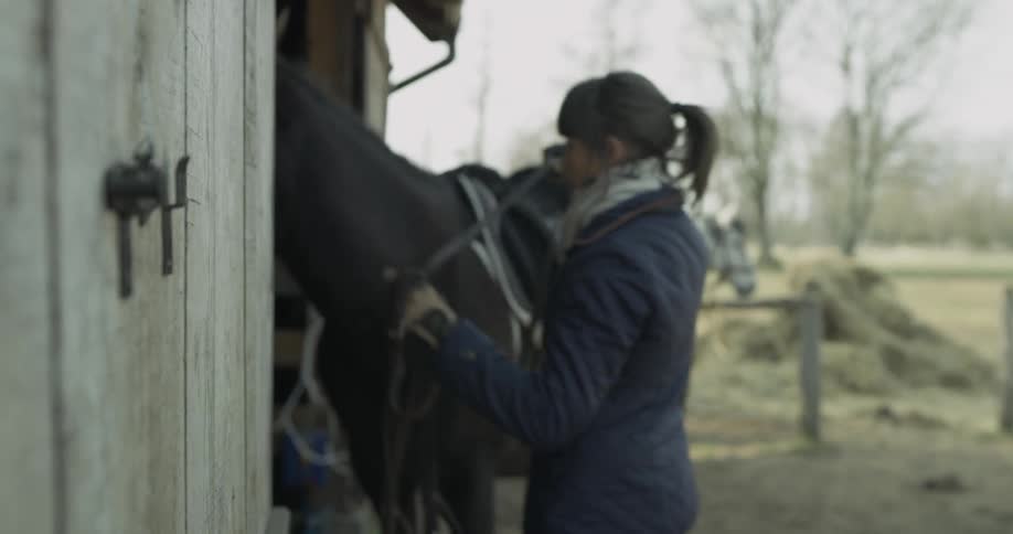 A person putting a harness on a horse