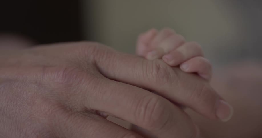Adult holds baby's hand