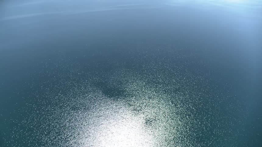 A large lake on a bright sunny day