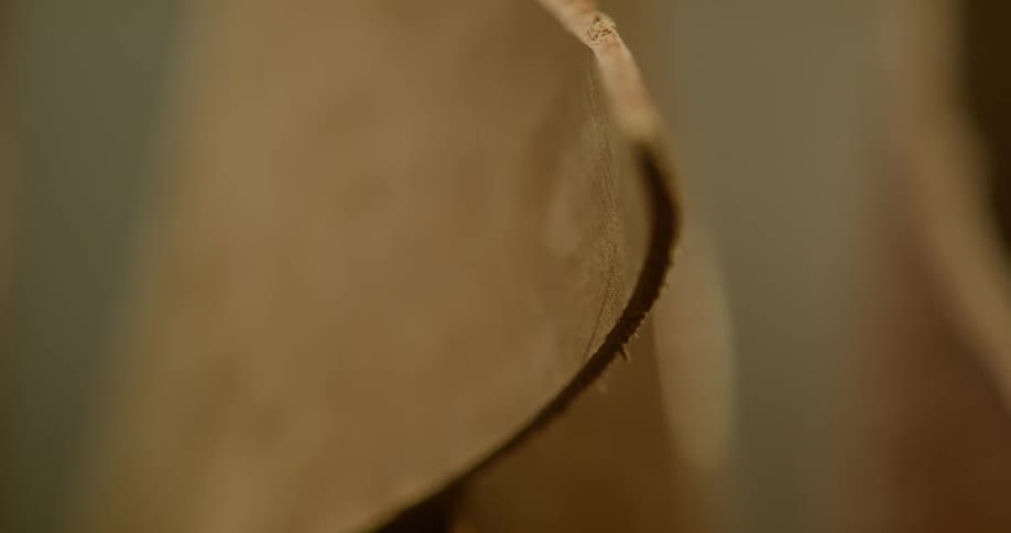 Light shines on a piece of leather